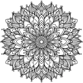 a mandala with petal shapes.