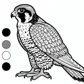 peregrine falcon coloring pages