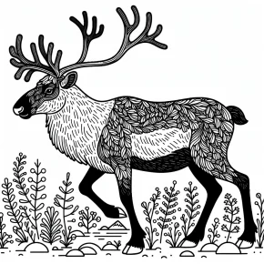 caribou coloring pages