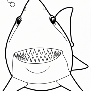 baby shark coloring page