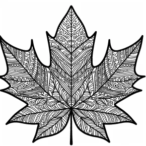 coloring page of a maple leaf