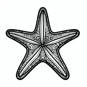 coloring pages starfish