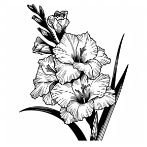 gladiolus